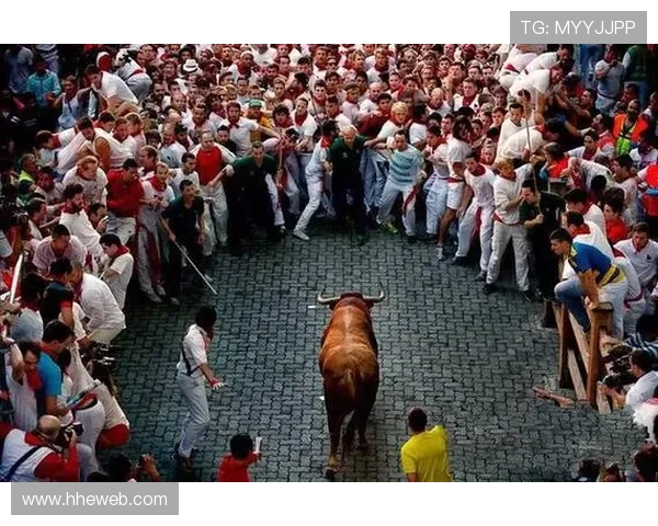 巴西与印度尼西亚的足球对决：激情碰撞与文化交融的精彩瞬间