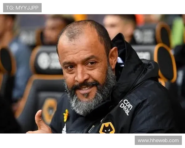 提华纳与美洲狮激战在即谁能在这场对决中笑到最后