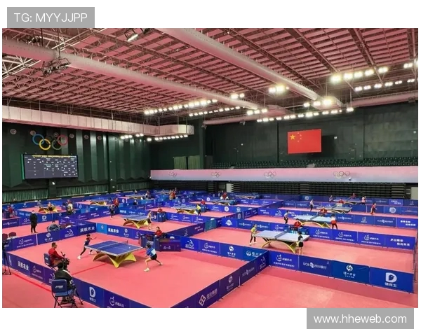 成都乒乓球队的控制技巧与训练方法深度解析